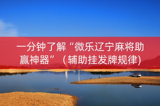 一分钟了解“微乐辽宁麻将助赢神器”（辅助挂发牌规律)