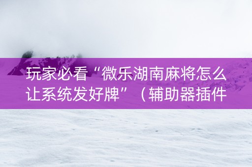 玩家必看“微乐湖南麻将怎么让系统发好牌”（辅助器插件)