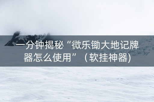 一分钟揭秘“微乐锄大地记牌器怎么使用”（软挂神器)