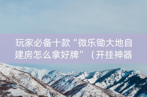玩家必备十款“微乐锄大地自建房怎么拿好牌”（开挂神器下载)