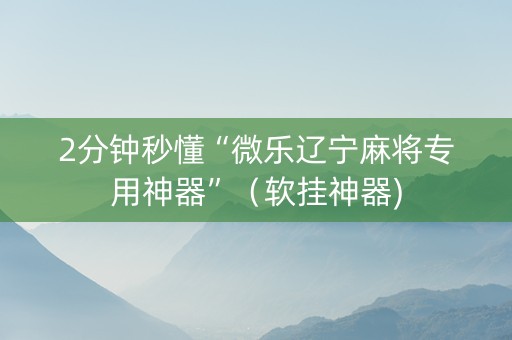 2分钟秒懂“微乐辽宁麻将专用神器”（软挂神器)