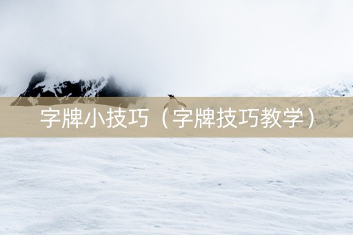 字牌小技巧（字牌技巧教学）