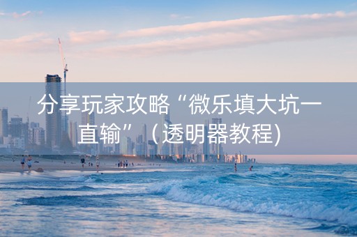 分享玩家攻略“微乐填大坑一直输”（透明器教程)