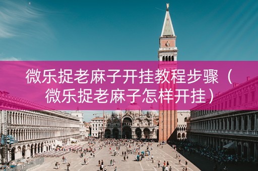 微乐捉老麻子开挂教程步骤（微乐捉老麻子怎样开挂）