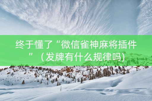 终于懂了“微信雀神麻将插件”（发牌有什么规律吗)