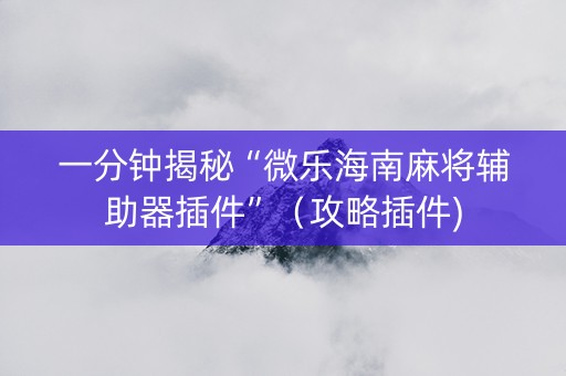 一分钟揭秘“微乐海南麻将辅助器插件”（攻略插件)