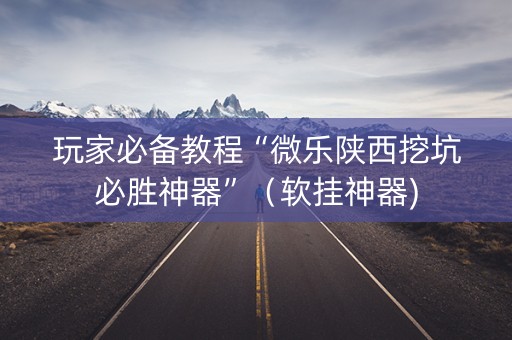 玩家必备教程“微乐陕西挖坑必胜神器”（软挂神器)