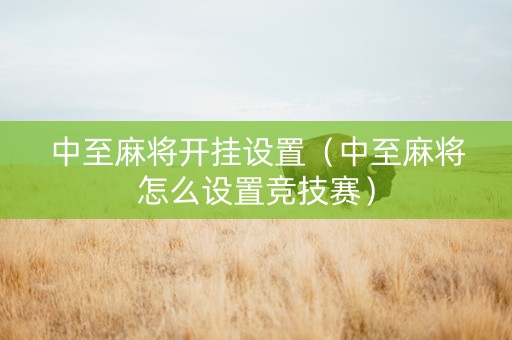 中至麻将开挂设置（中至麻将怎么设置竞技赛）