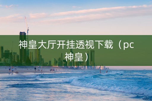 神皇大厅开挂透视下载（pc神皇）