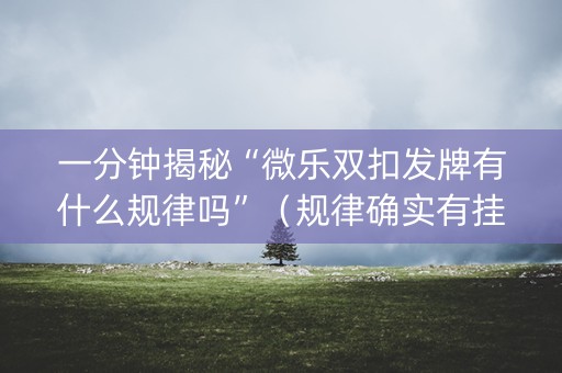 一分钟揭秘“微乐双扣发牌有什么规律吗”（规律确实有挂)