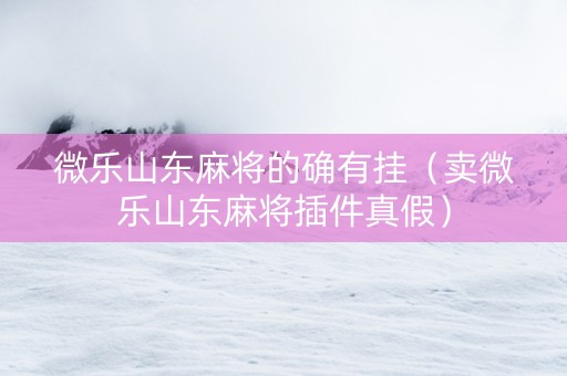 微乐山东麻将的确有挂（卖微乐山东麻将插件真假）