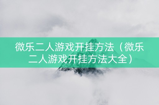 微乐二人游戏开挂方法（微乐二人游戏开挂方法大全）
