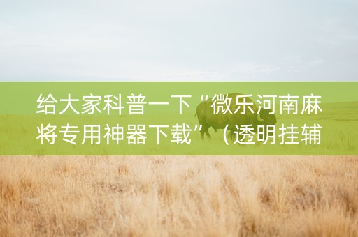 给大家科普一下“微乐河南麻将专用神器下载”（透明挂辅助器)