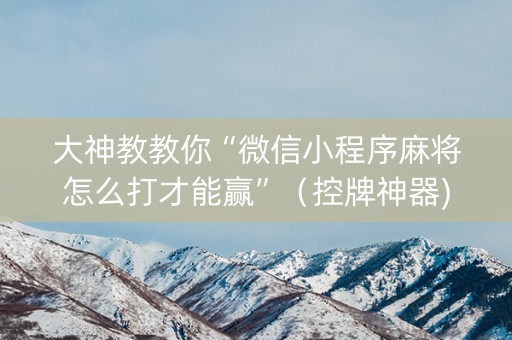 大神教教你“微信小程序麻将怎么打才能赢”（控牌神器)