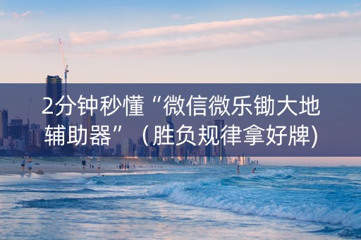 2分钟秒懂“微信微乐锄大地辅助器”（胜负规律拿好牌)