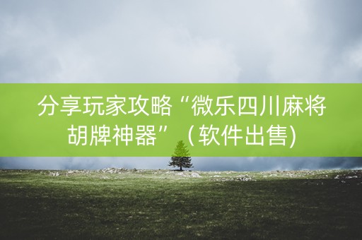 分享玩家攻略“微乐四川麻将胡牌神器”（软件出售)