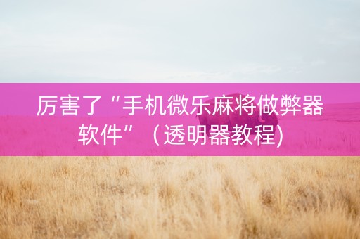 厉害了“手机微乐麻将做弊器软件”（透明器教程)