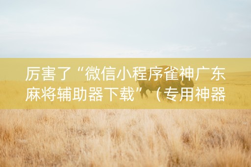 厉害了“微信小程序雀神广东麻将辅助器下载”（专用神器下载)