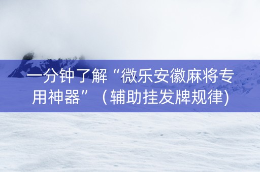 一分钟了解“微乐安徽麻将专用神器”（辅助挂发牌规律)