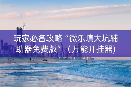 玩家必备攻略“微乐填大坑辅助器免费版”（万能开挂器)