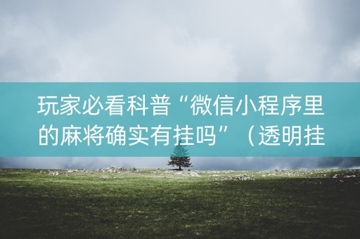 玩家必看科普“微信小程序里的麻将确实有挂吗”（透明挂辅助器)