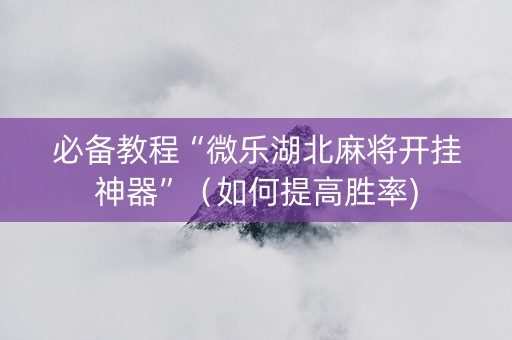必备教程“微乐湖北麻将开挂神器”（如何提高胜率)