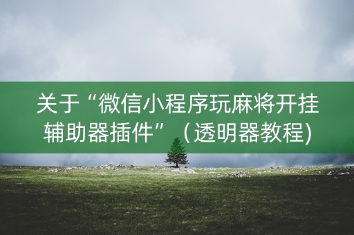 关于“微信小程序玩麻将开挂辅助器插件”（透明器教程)