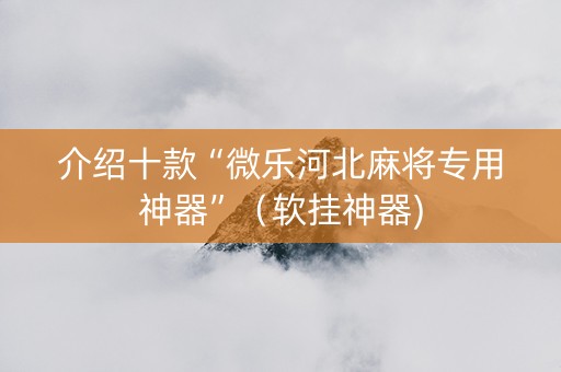 介绍十款“微乐河北麻将专用神器”（软挂神器)