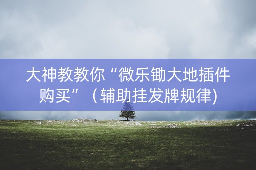 大神教教你“微乐锄大地插件购买”（辅助挂发牌规律)