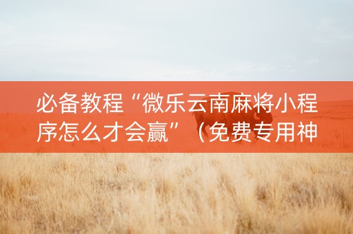 必备教程“微乐云南麻将小程序怎么才会赢”（免费专用神器)