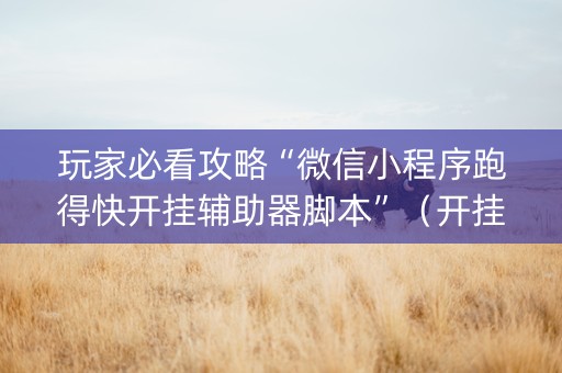 玩家必看攻略“微信小程序跑得快开挂辅助器脚本”（开挂辅助插件)