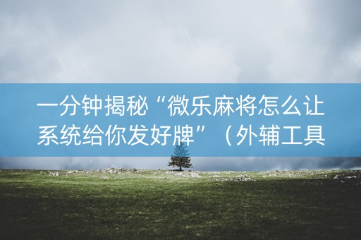 一分钟揭秘“微乐麻将怎么让系统给你发好牌”（外辅工具)