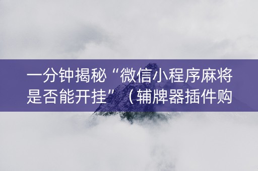 一分钟揭秘“微信小程序麻将是否能开挂”（辅牌器插件购买)