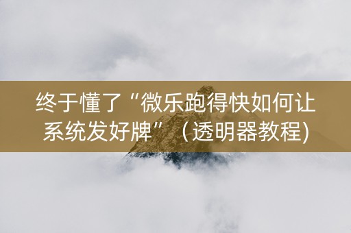 终于懂了“微乐跑得快如何让系统发好牌”（透明器教程)
