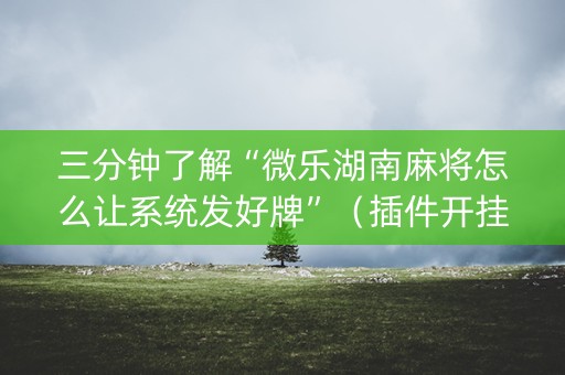 三分钟了解“微乐湖南麻将怎么让系统发好牌”（插件开挂免费AI)