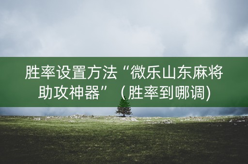 胜率设置方法“微乐山东麻将助攻神器”（胜率到哪调)