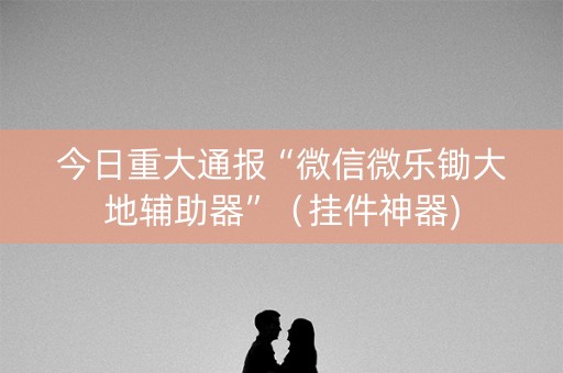 今日重大通报“微信微乐锄大地辅助器”（挂件神器)