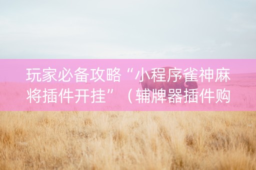玩家必备攻略“小程序雀神麻将插件开挂”（辅牌器插件购买)