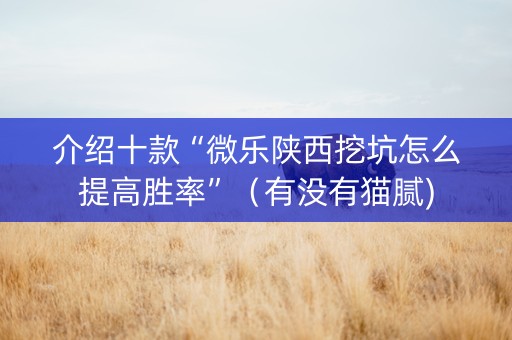 介绍十款“微乐陕西挖坑怎么提高胜率”（有没有猫腻)