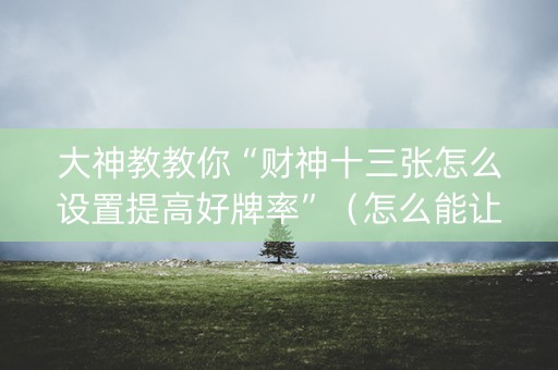 大神教教你“财神十三张怎么设置提高好牌率”（怎么能让牌好一点)