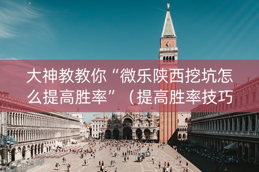 大神教教你“微乐陕西挖坑怎么提高胜率”（提高胜率技巧)