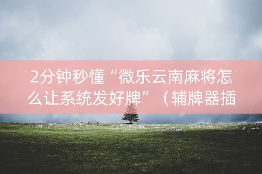 2分钟秒懂“微乐云南麻将怎么让系统发好牌”（辅牌器插件购买)