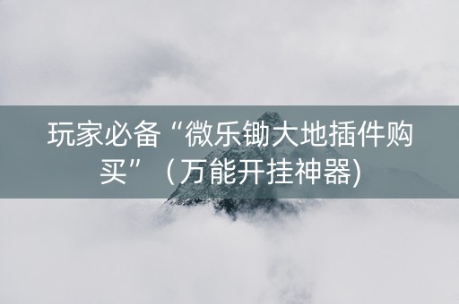 玩家必备“微乐锄大地插件购买”（万能开挂神器)