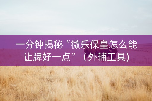 一分钟揭秘“微乐保皇怎么能让牌好一点”（外辅工具)