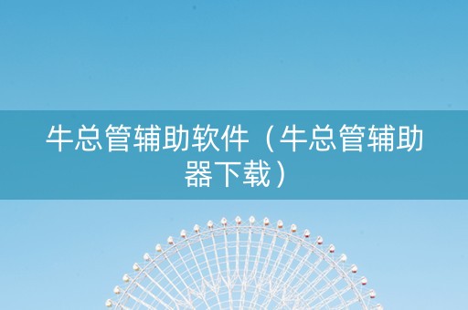 牛总管辅助软件（牛总管辅助器下载）