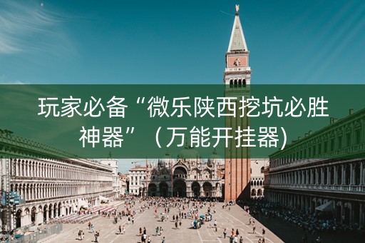 玩家必备“微乐陕西挖坑必胜神器”（万能开挂器)