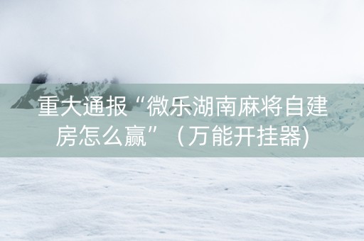 重大通报“微乐湖南麻将自建房怎么赢”（万能开挂器)