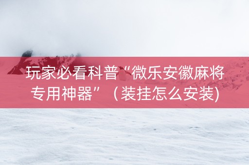 玩家必看科普“微乐安徽麻将专用神器”（装挂怎么安装)