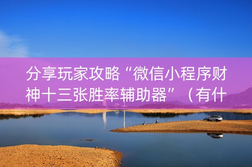 分享玩家攻略“微信小程序财神十三张胜率辅助器”（有什么诀窍)