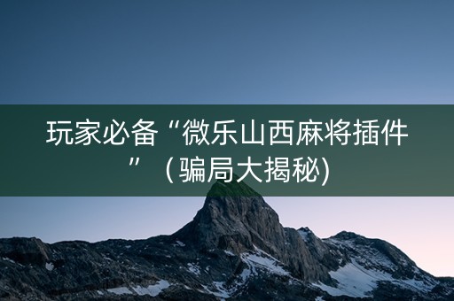 玩家必备“微乐山西麻将插件”（骗局大揭秘)
